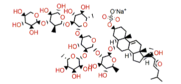 Hippasterioside B